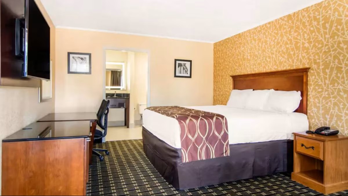 1 King Bed
